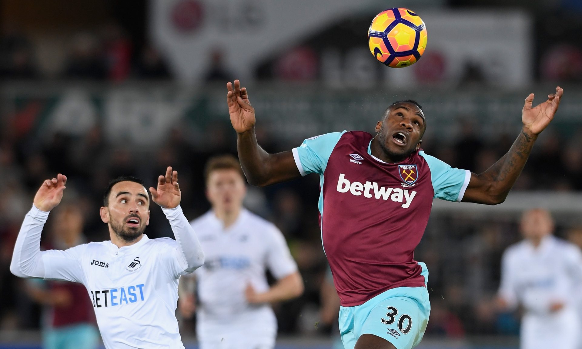 仅奠定了自 仅奠定了自